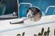 small-car