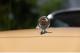 small-car