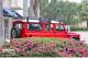 small-car