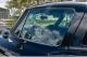 small-car