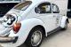 small-car