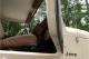 small-car